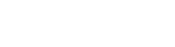 Securing Consultores